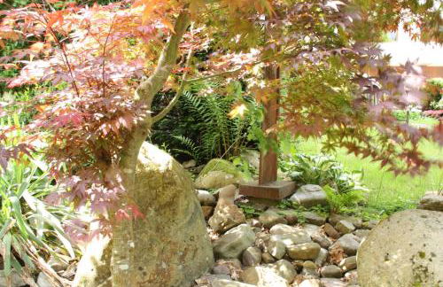 Ferienwohnungen-In-Bacharach - Foto 11