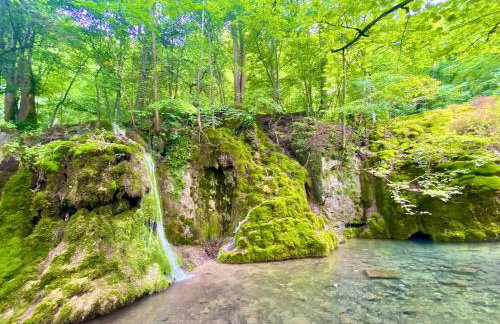 Ferienwohnung am Kappenturm - Foto 18