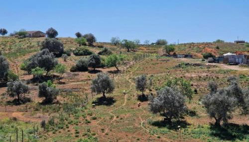 Casa Liberdade - Modern townhouse with terrace roof - Foto 5