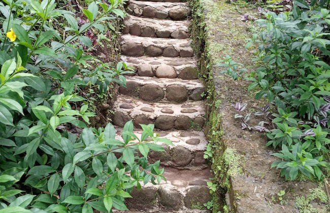 Berkey's Jungle Paradise - Photo 46