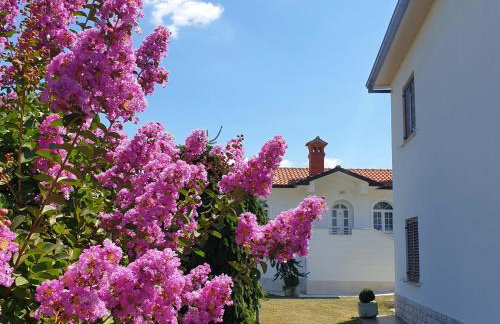 Holiday Apartment VILLA BIANCA - Photo 9