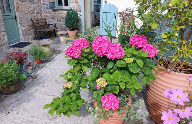 Wesley House Holiday Cottages - Foto 78