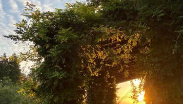 Agriturismo Castagna Amara - Photo 5, Garden, Garden view