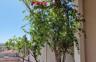 Sunshine Terrace - Foto 39