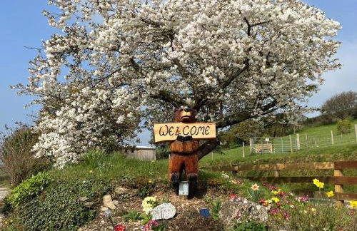 1 Bed in Looe oc-90170 - Photo 16