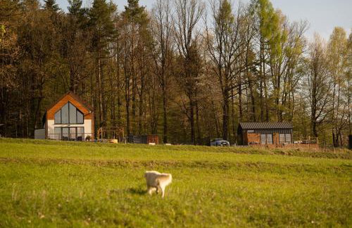 Okno na Beskidy-domek LAS z balią , sauną i niesamowitym widokiem na góry - Foto 73