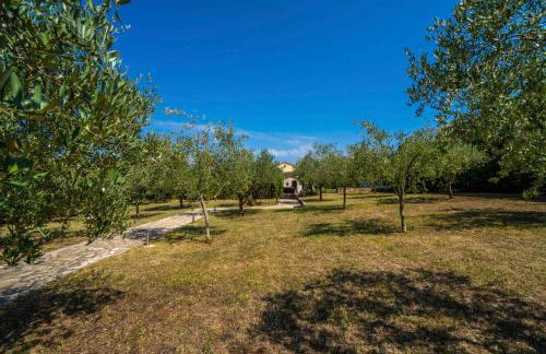 Istria Moderna in Muntić (Haus für 4-6 Personen) - Foto 48