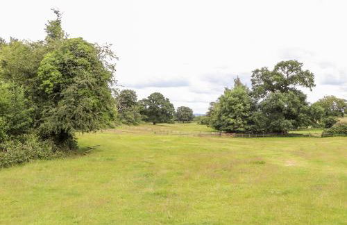 Cook's Flat - Foto 33