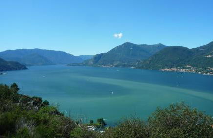 Il girasole - Foto 25