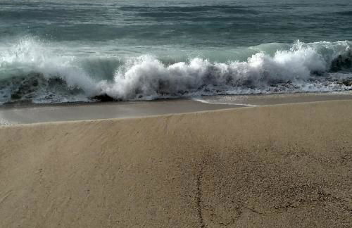 As Basoñas - Foto 13