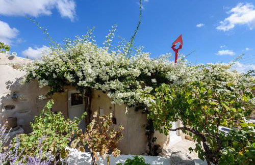 THE OLIVE MILL GUEST HOUSE - Photo 3