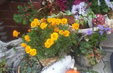 Ferienwohnung Hellriegel - Foto 21