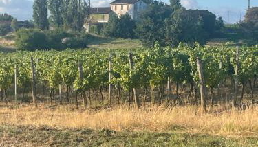 Cascina Valgrande, Monferrato - Foto 4