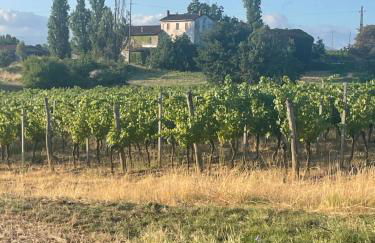 Cascina Valgrande, Monferrato - Foto 4