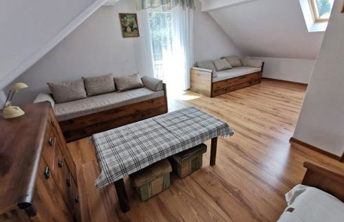 Agrostrzecha - Foto 14