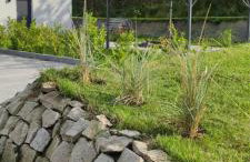 Sadowa Ostoja z prywatnymi jacuzzi - Foto 12