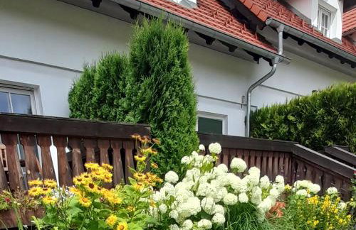 Wysokie Łąki domki w górach - Foto 29