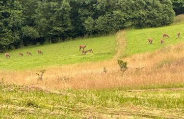 Panorama Sucha Góra - Foto 32
