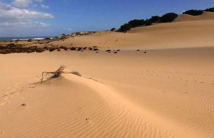 Borgo Ingurtosu - Photo 12