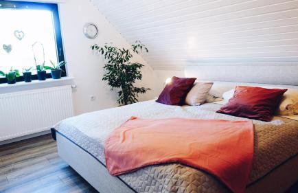 Auf dem Worbelchen - Foto 10