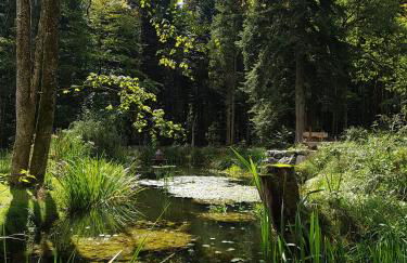 Appartements Apfelblüte - Foto 31