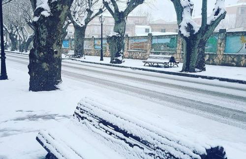 Patio de las Flores - Foto 43