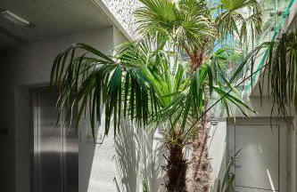 Luxury Apartments Villa Mala Split - Photo 51