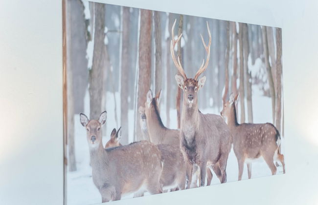 Valley View Apartment in Kirchberg in Tyrol near Skiing Area - Photo 27