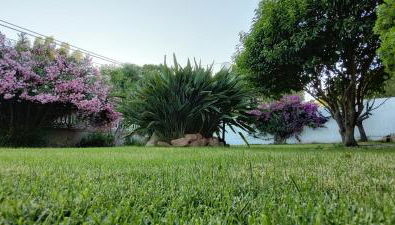 Villa Teresa - Foto 5, Garden, Garden view