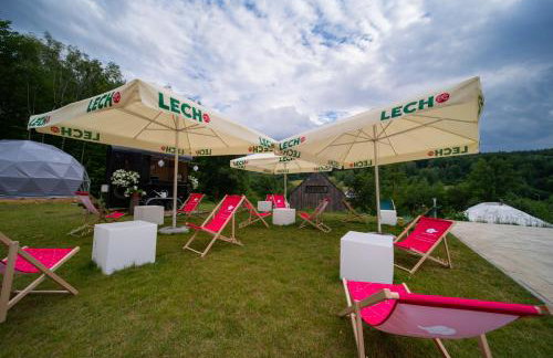 Dolina Gwiazd - Foto 35