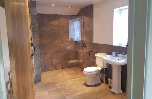 Lletty Ann wynn at Fraithwen Cottages - Foto 27