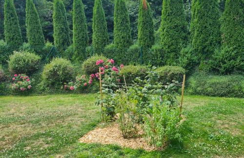 Ferienwohnung Buchberg - Foto 20