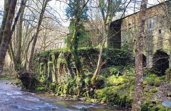 Ollar do Cido - Foto 41