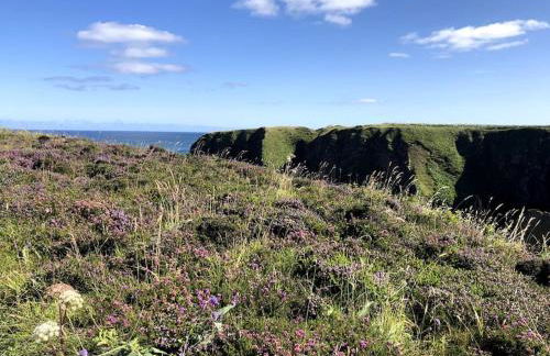 Historical North Cottage in Old Deer - Photo 46