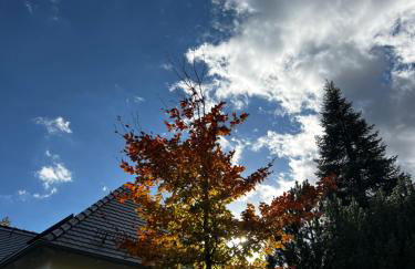 # 97 - die Ferienwohnung am Sachsenring - Foto 28