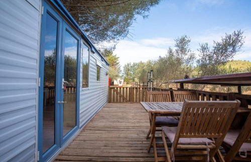 Kenya - Écuries du Mas di Gau - Foto 14