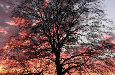 Geräumige 2-Z WOHNUNG im GRÜNEN, GARTEN, TERRASSE, RUHIG, NATUR, PHANTASTISCHER BLICK! - Foto 67