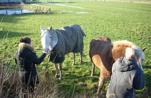 Apartment Radmokerhuus - Foto 35