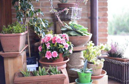 Dolce Casetta - Foto 24