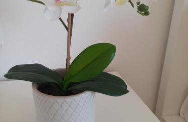 Katerina's apartment - near the sea - Foto 15