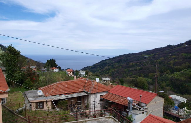 Anastasia s Cottage in Pelion - Foto 13