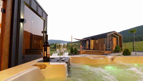 Magiczny Widok Tiny House - Foto 2