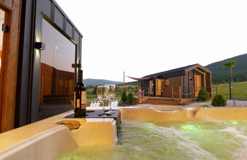 Magiczny Widok Tiny House - Foto 2