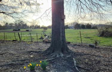 Just Breathe - Foto 31