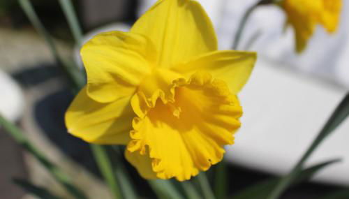 Ferien im Bomlitztal - Foto 3