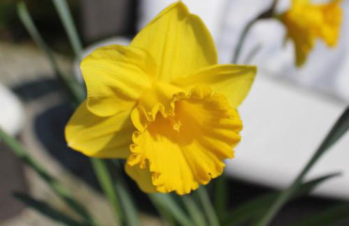 Ferien im Bomlitztal - Foto 3