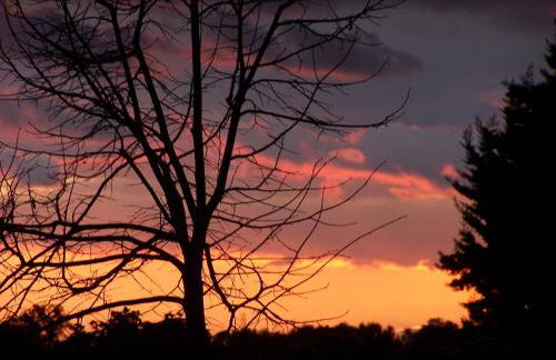 Agriturismo Quattro Pini - Foto 48