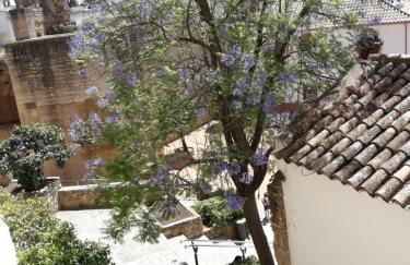 Los Tejares del Alcazar - Foto 35