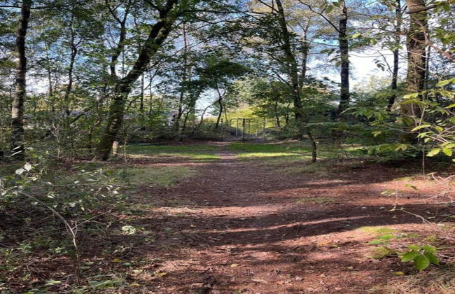 Ferienhaus Boschhuys - Foto 37