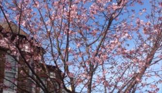 CHARMING ENGLISH STYLE STUDIO FLAT - Foto 2